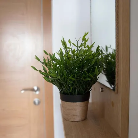 Terramar * 보이로